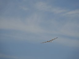 2026-07-25_12-26-35_zeltlager